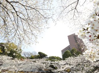 ホテル椿山荘東京 スプリングパーティプラン